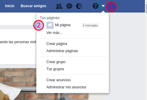How to get Facebook page identifier - Step 1