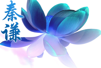Qtranslate logo